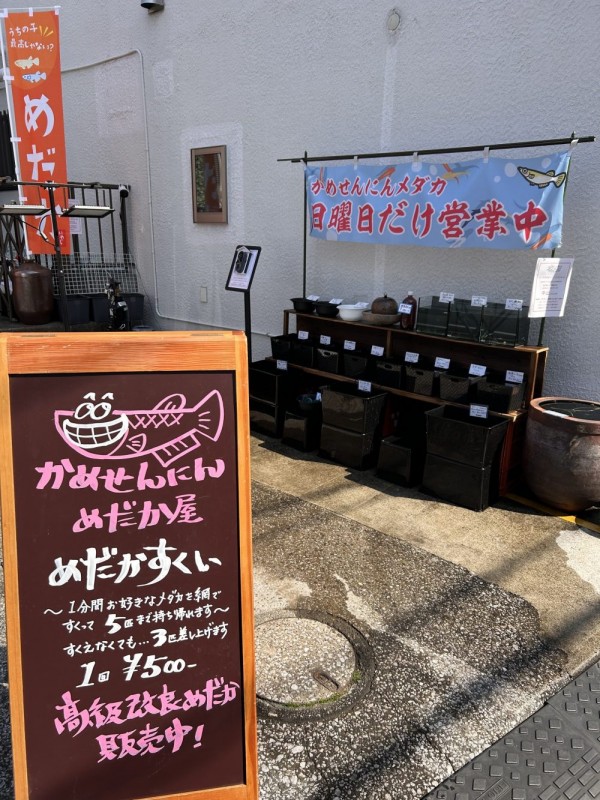 石川町裏フェス出店しまーす